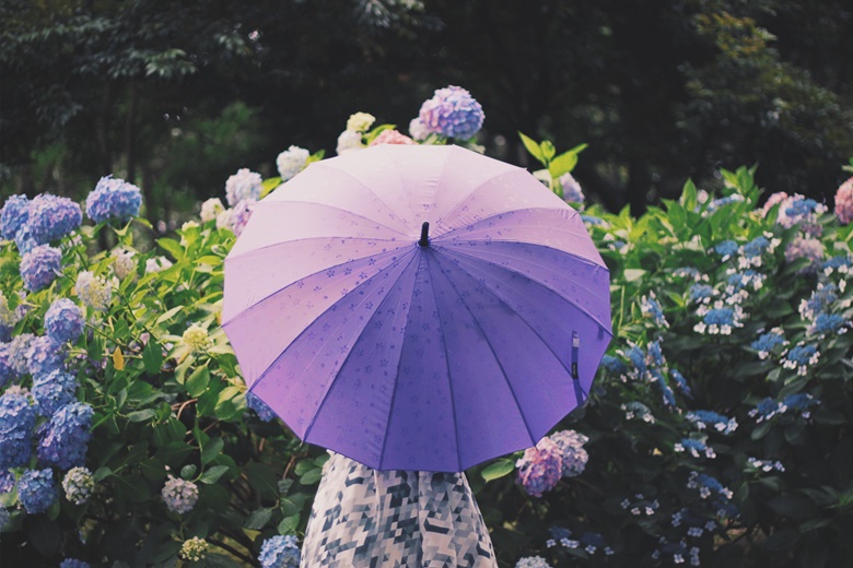 玄関風水 運気を良くする傘立てを選ぶポイントとは Smile風水生活